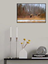 The wind in March Poster och Canvastavla
