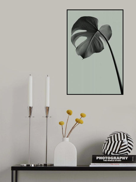 Monstera Teal 02 Poster och Canvastavla