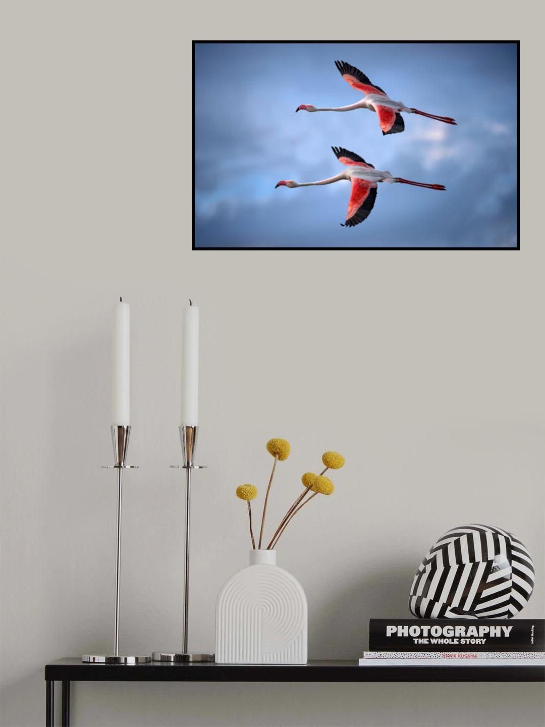 Greater Flamingos Poster och Canvastavla