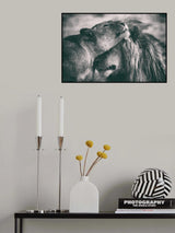 Love Poster och Canvastavla