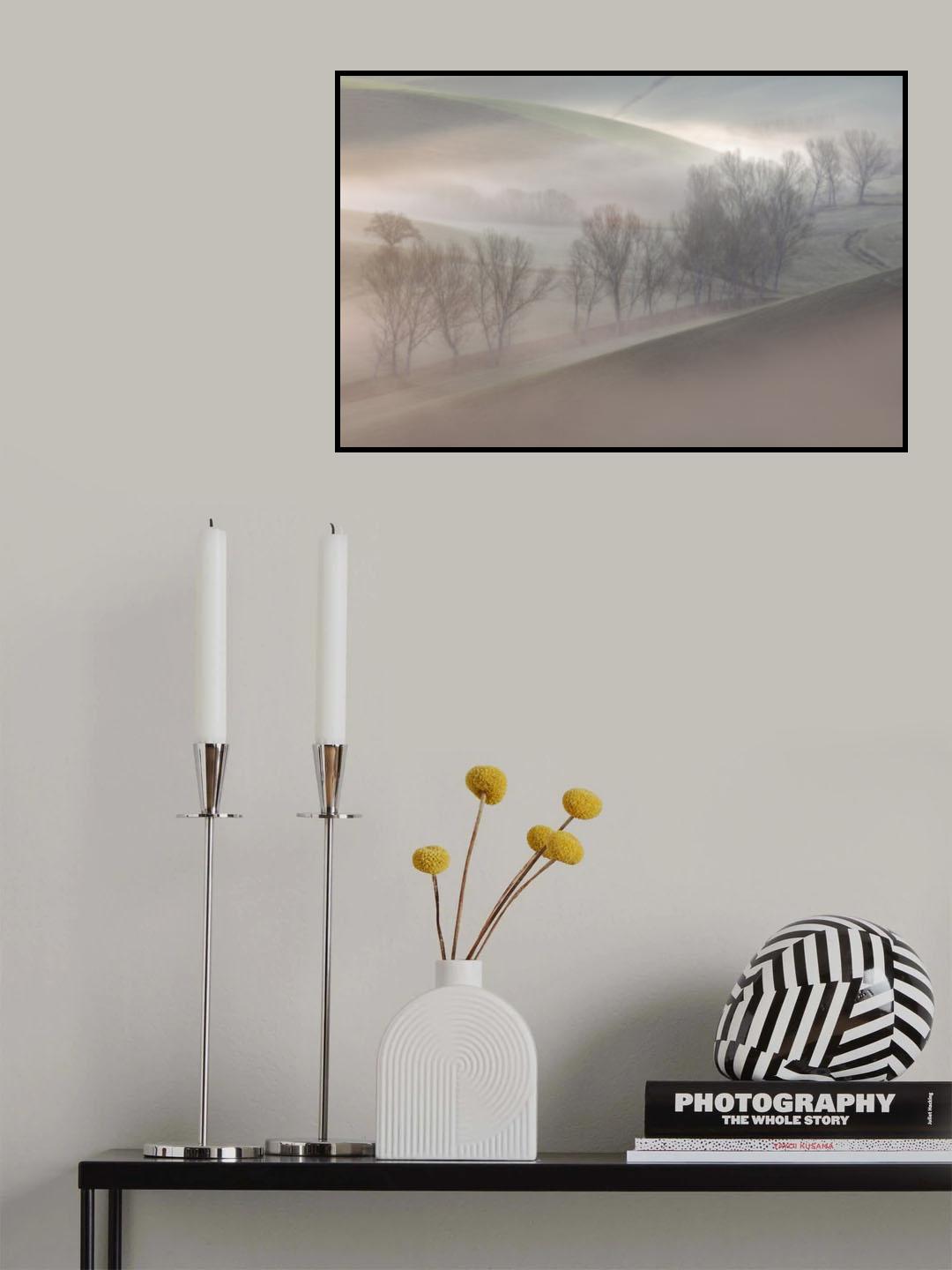 sunrise over the trees Poster och Canvastavla