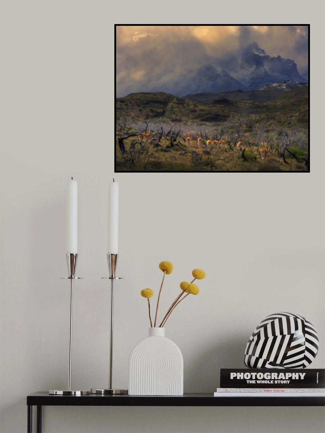 Spring in Torres del Paine Poster och Canvastavla