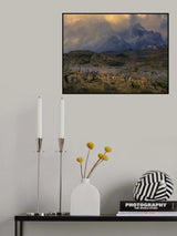 Spring in Torres del Paine Poster och Canvastavla