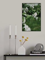 Spring Series - Apple Blossoms in the Rain 6/12 Poster och Canvastavla