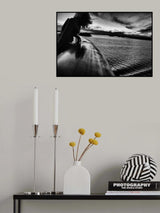 Homebound. Poster och Canvastavla