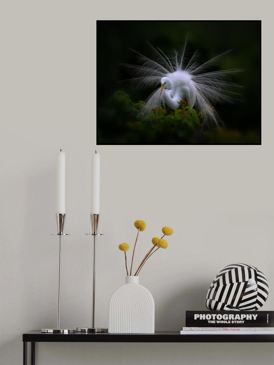 Dancer Poster och Canvastavla