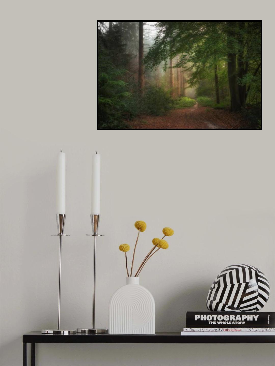 A beautiful morning in the forrest. Poster och Canvastavla