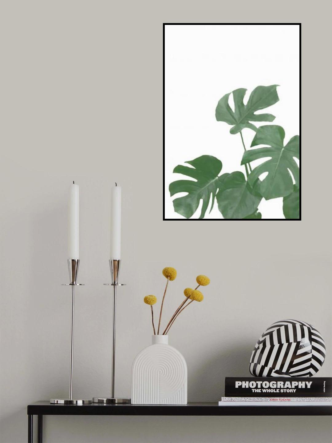 Monstera Aqua 04 Poster och Canvastavla
