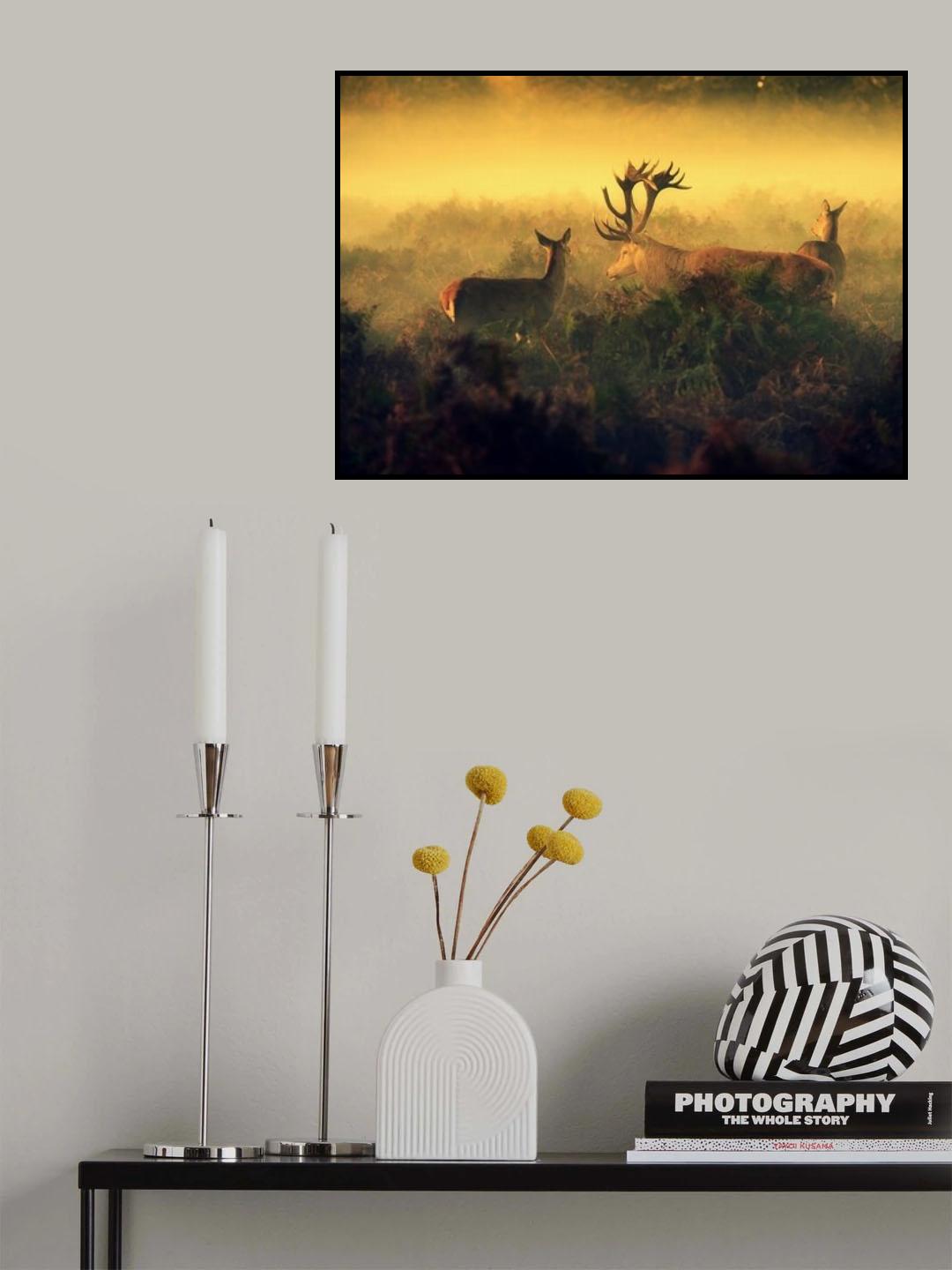Friends... Poster och Canvastavla
