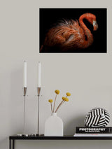 After the Shower Poster och Canvastavla