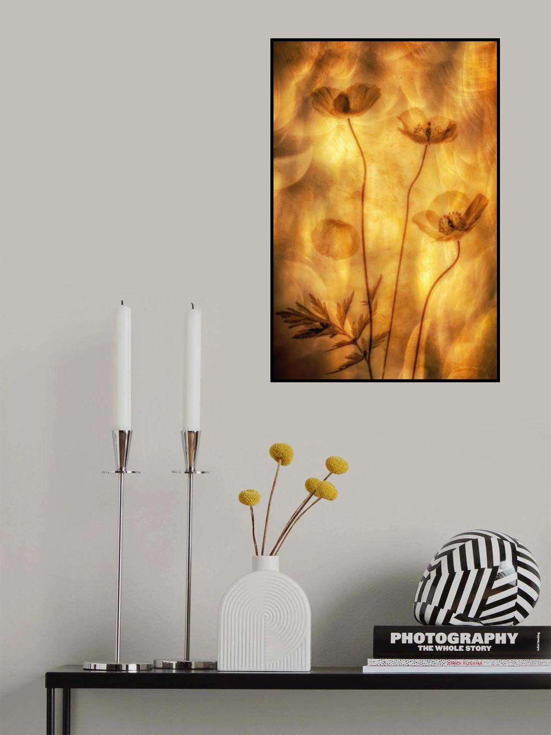Poppies Poster och Canvastavla