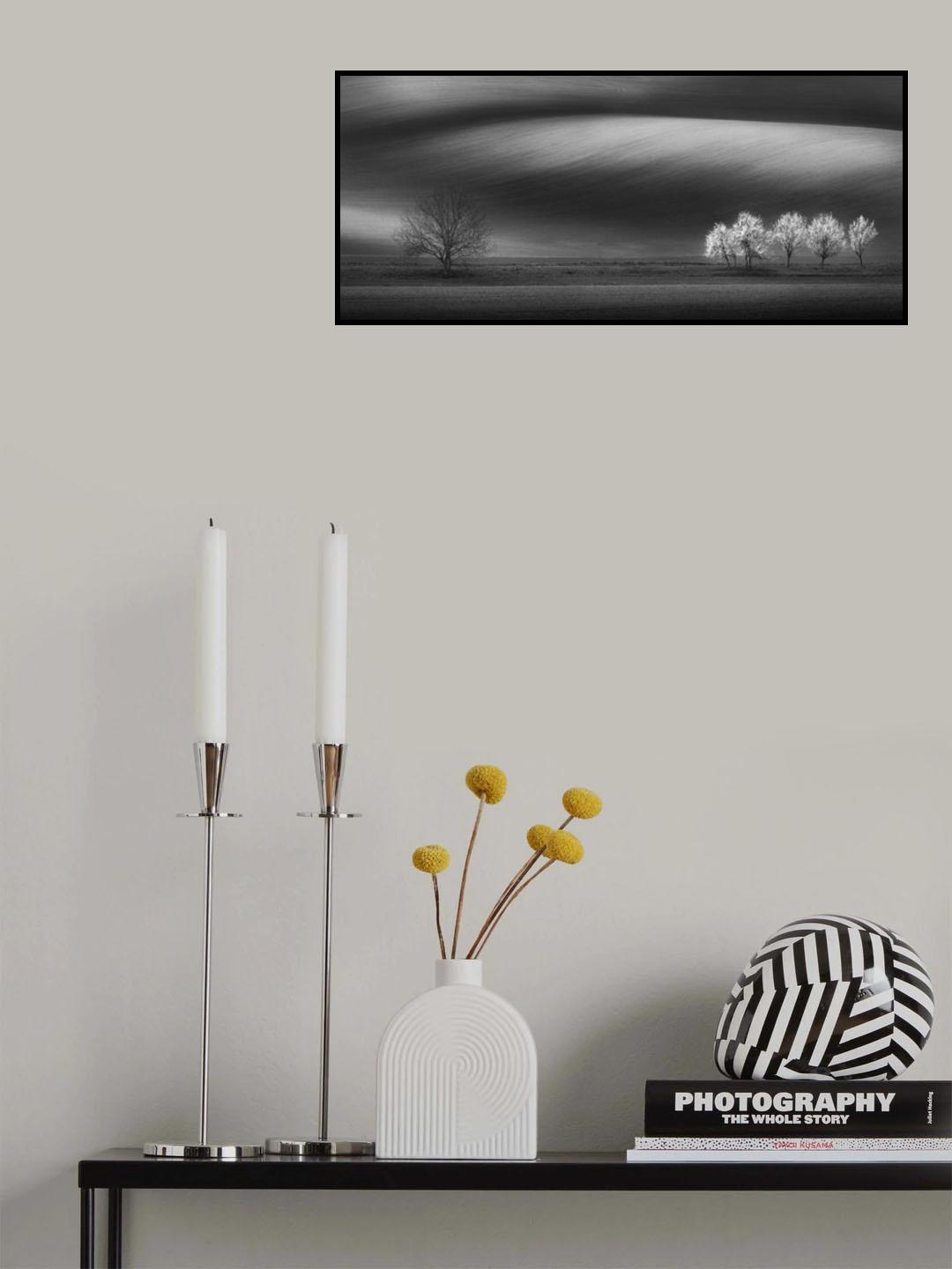 Bloom and fade... Poster och Canvastavla