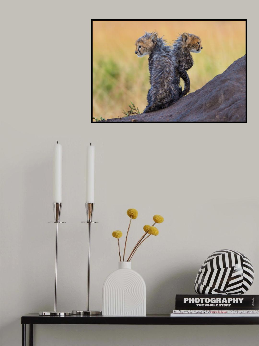 Furry and Wild Poster och Canvastavla