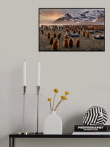 Wildlife Heaven Poster och Canvastavla