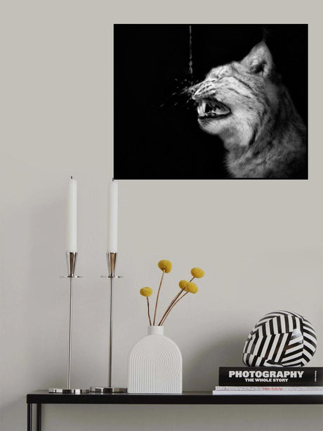 the shock Poster och Canvastavla