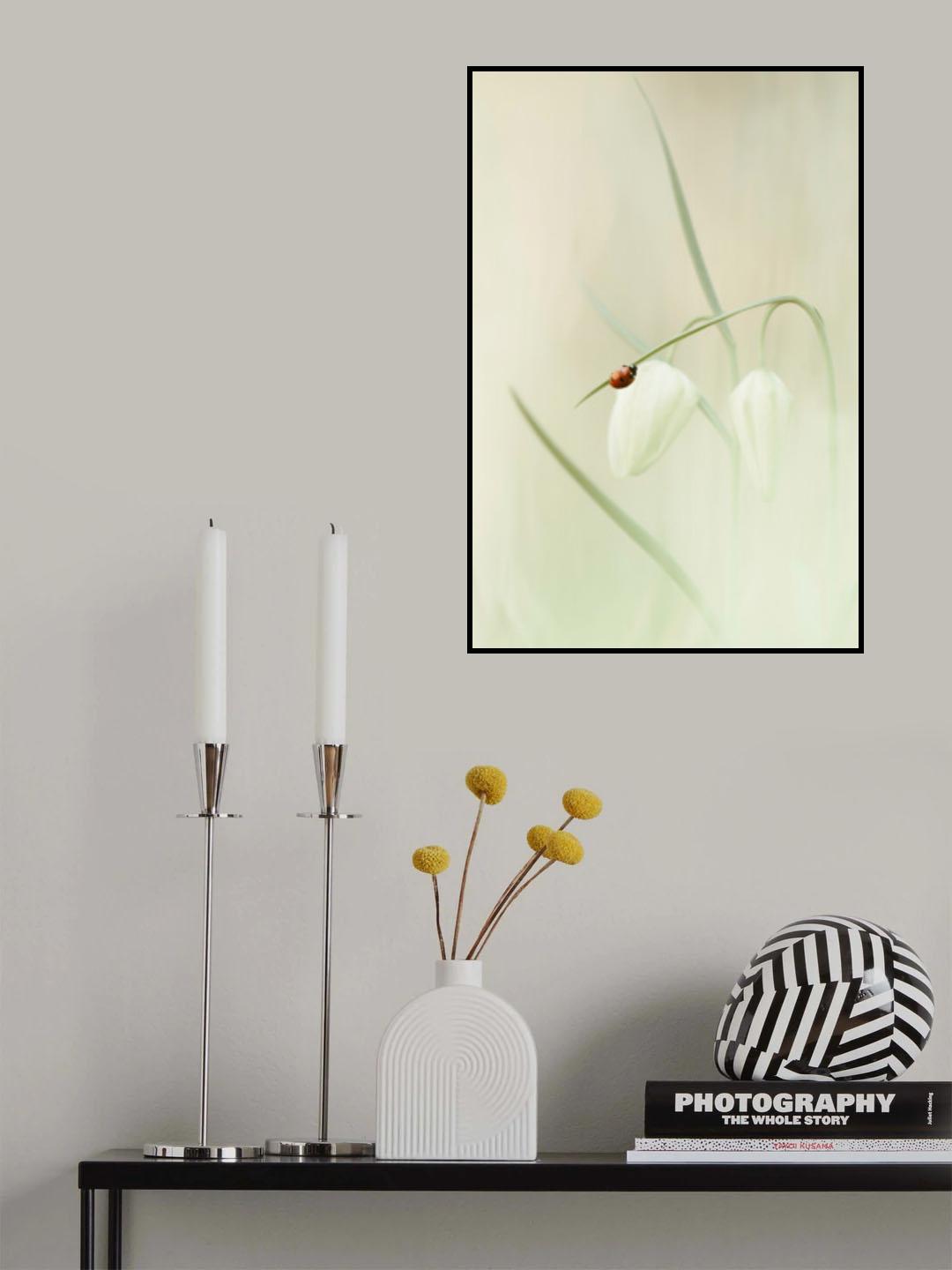 Playing with light Poster och Canvastavla