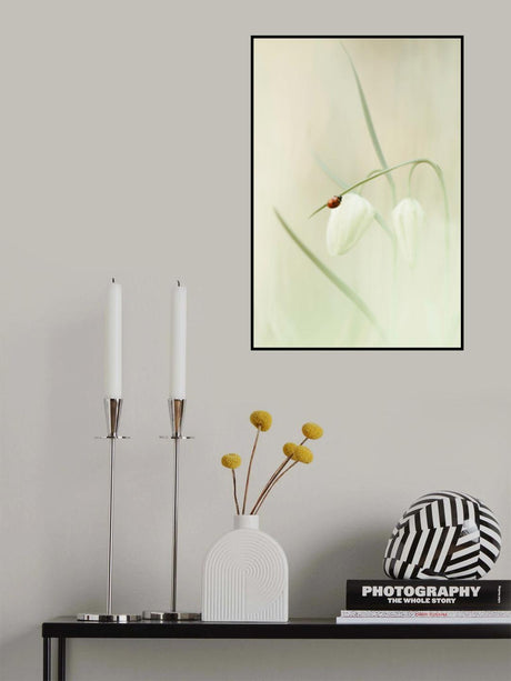 Playing with light Poster och Canvastavla