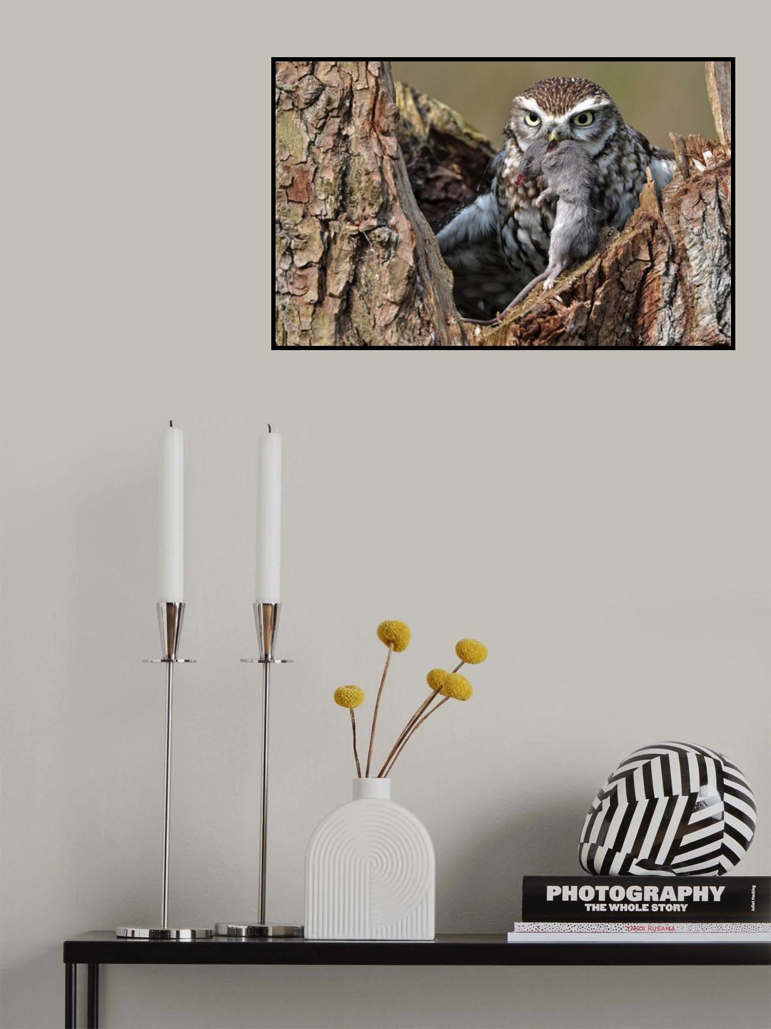 big mouse Poster och Canvastavla