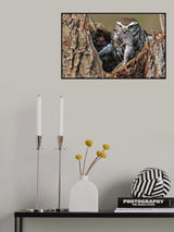 big mouse Poster och Canvastavla
