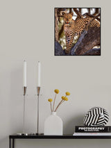 I See You... Poster och Canvastavla