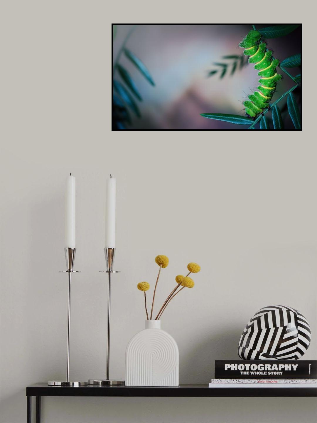 Mittrei larva Poster och Canvastavla