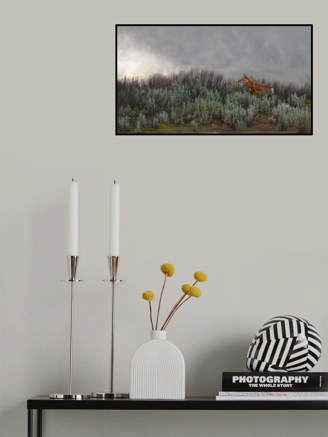 Ethiopian Wolf Poster och Canvastavla