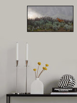 Ethiopian Wolf Poster och Canvastavla