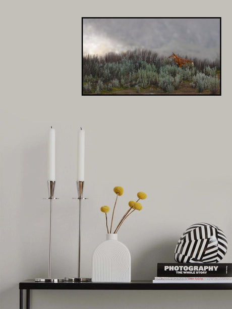 Ethiopian Wolf Poster och Canvastavla