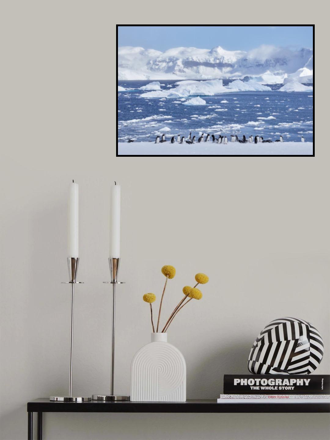 By the sea Poster och Canvastavla