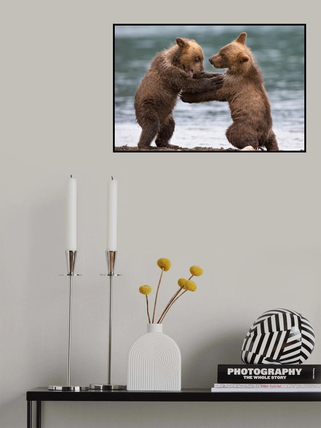 Big bears Poster och Canvastavla