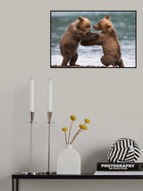 Big bears Poster och Canvastavla