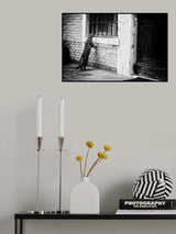 The cat Poster och Canvastavla