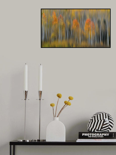 Fall Impression #2 Poster och Canvastavla