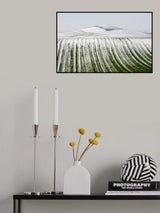 Winter*** Poster och Canvastavla