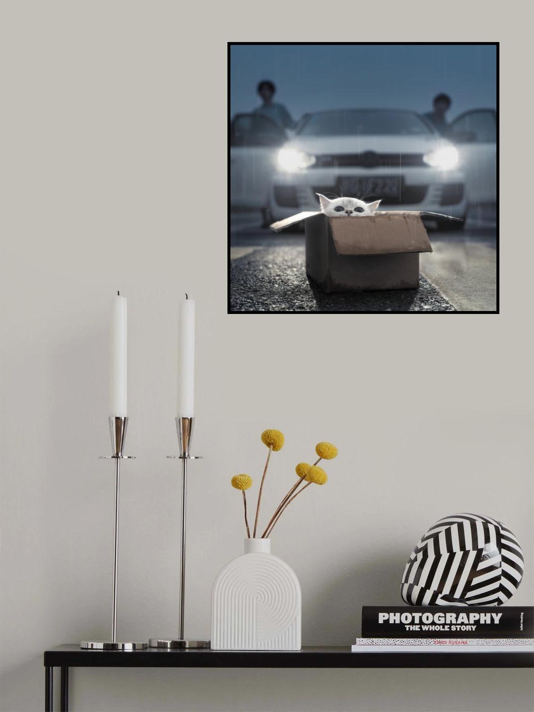 Cat Poster och Canvastavla