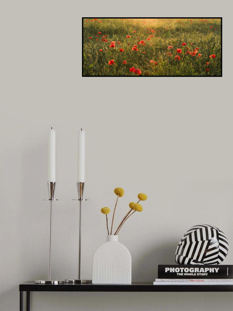 Poppy World II Poster och Canvastavla