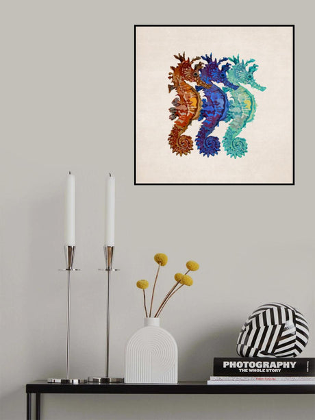 Denizatlari Poster och Canvastavla