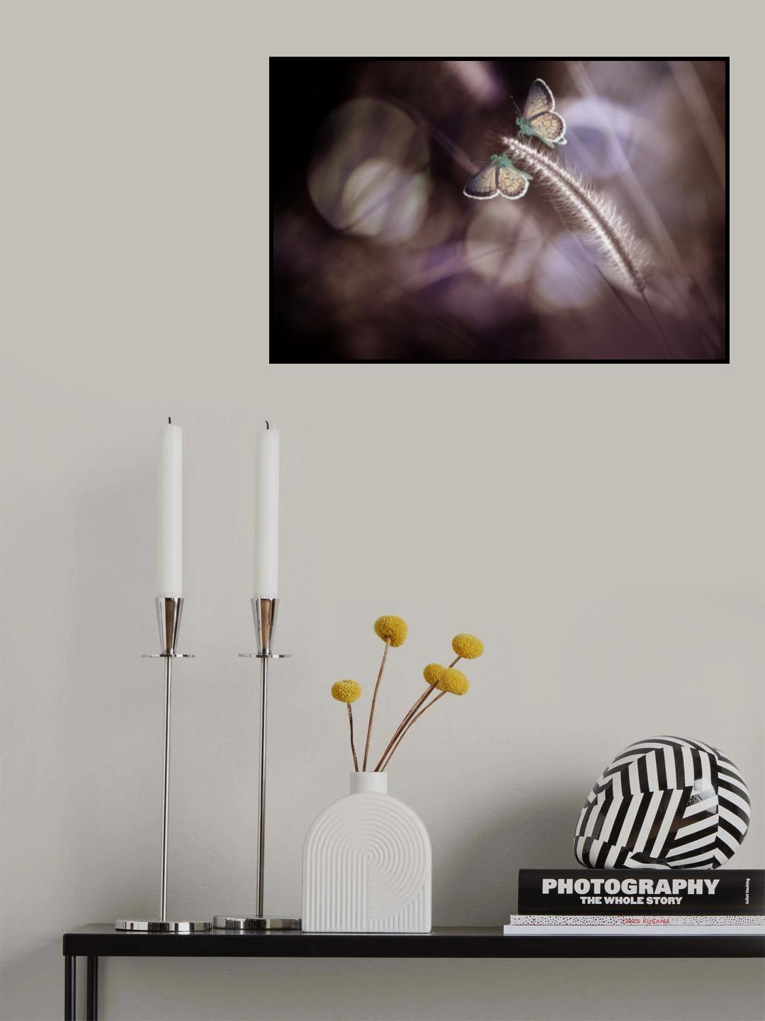 A Pair of Butterflies Poster och Canvastavla