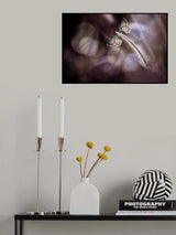A Pair of Butterflies Poster och Canvastavla