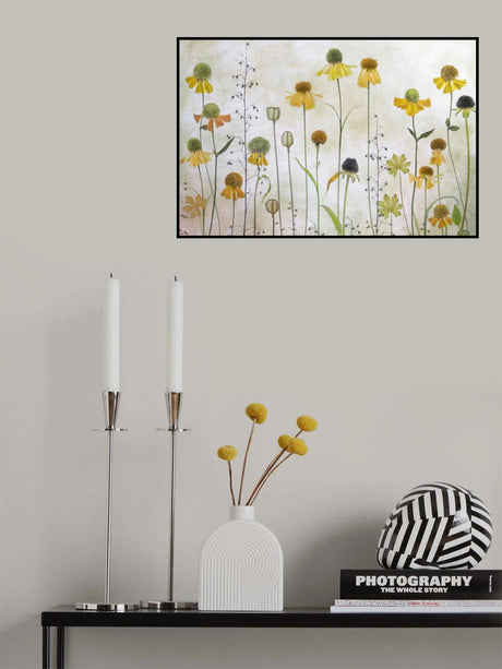 Helenium Poster och Canvastavla