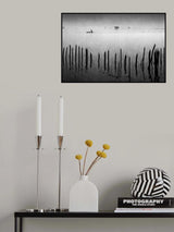 Melody of the wetland Poster och Canvastavla