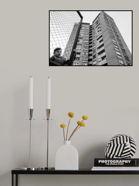 The boy behind the fence Poster och Canvastavla
