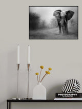 ‘...the big one...’ Poster och Canvastavla