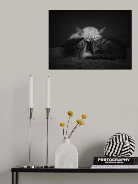 sweet dreams Poster och Canvastavla