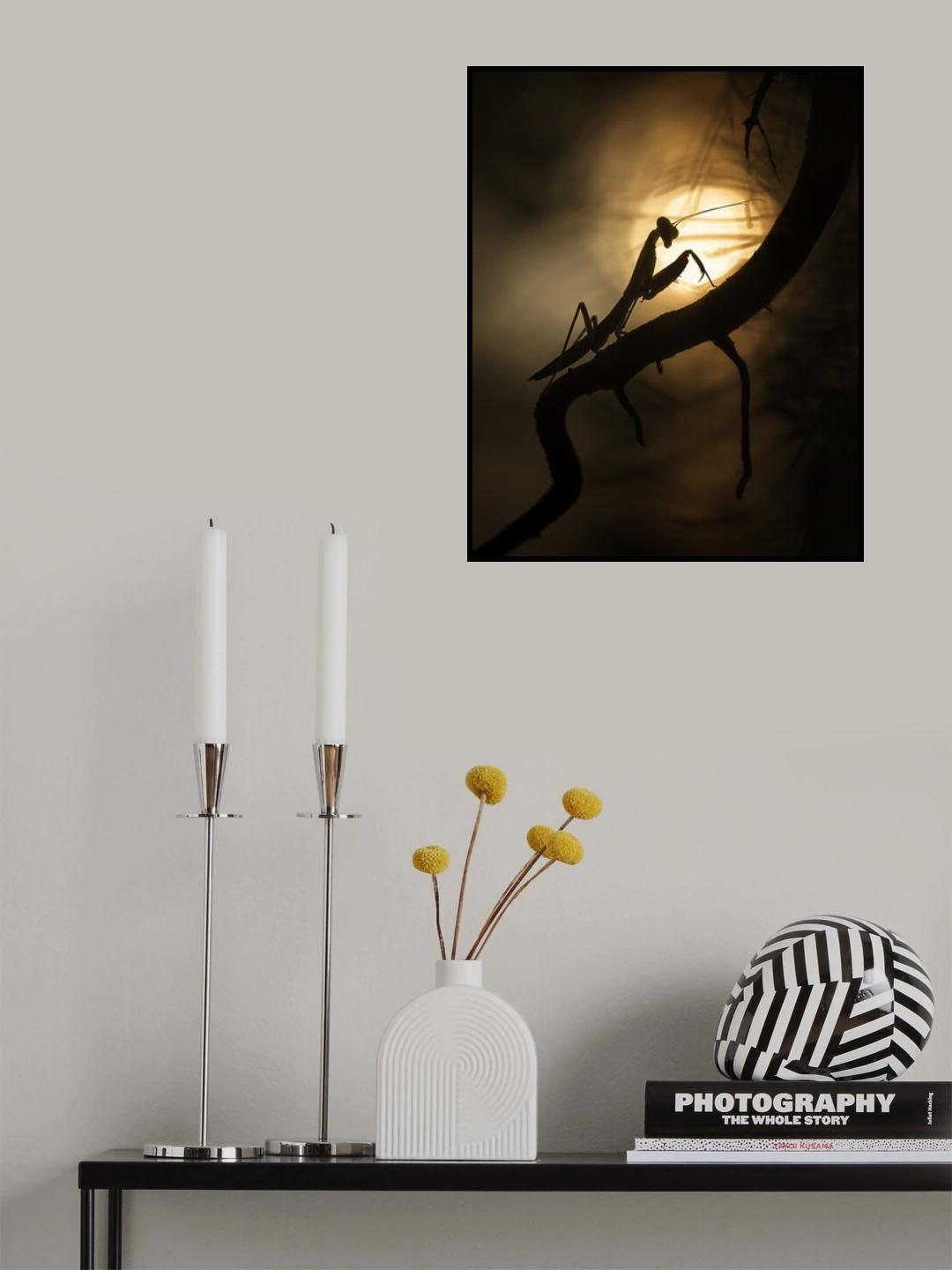 Shadows and Silhouette Poster och Canvastavla