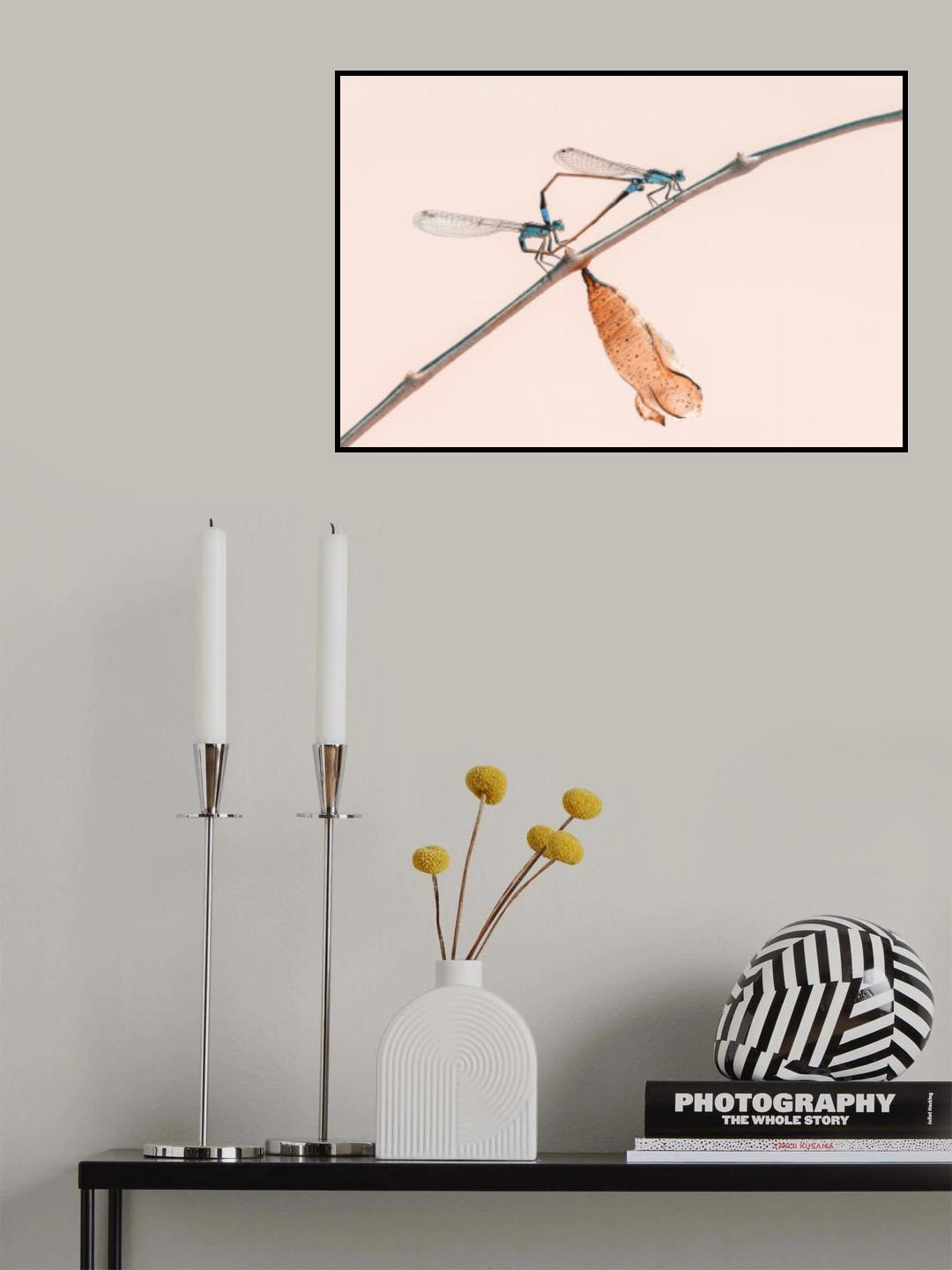 A Love Poster och Canvastavla