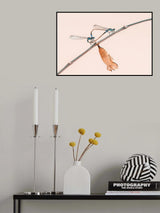 A Love Poster och Canvastavla