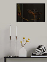 Le regarde Poster och Canvastavla