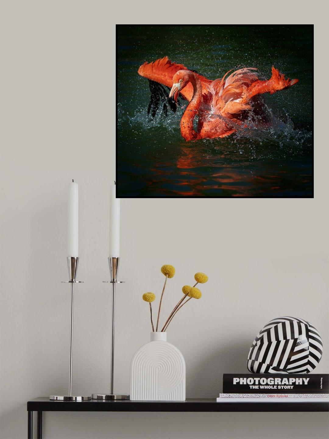 Playing With Water Poster och Canvastavla
