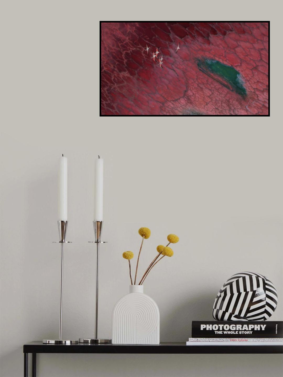 Fly over red world Poster och Canvastavla